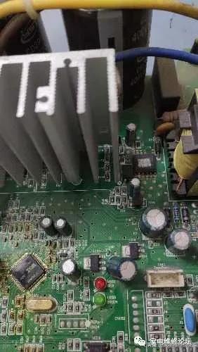 一群人和一只壁虎引发血案,一只壁虎引发的事件