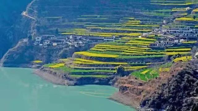 赏油菜花攻略,寻找最美油菜花可去这十大景点