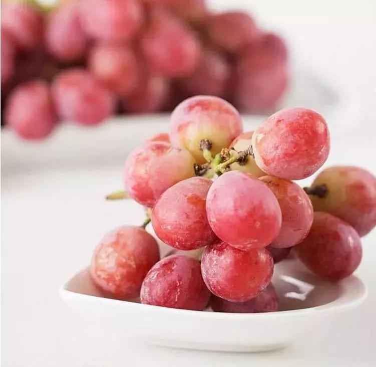 初夏时节果飘香采摘尝鲜正当时,红提采摘园