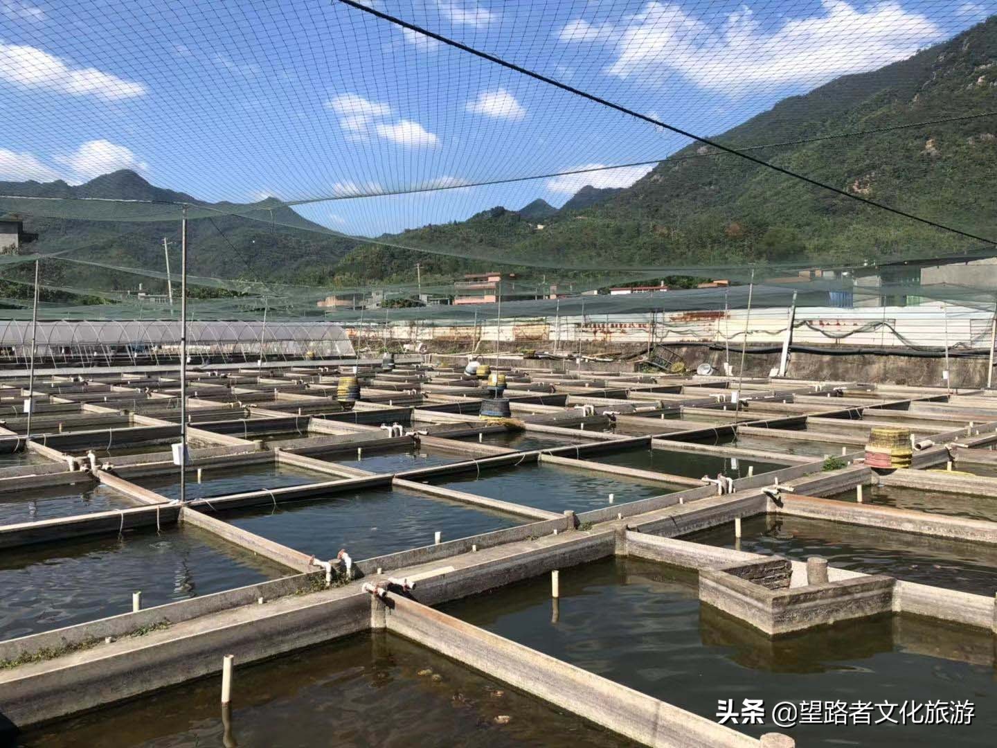 旗山农家小院,旗山农家乐