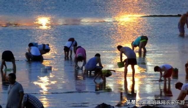北戴河自由行3-4天攻略住宿,北戴河区自由行热门攻略
