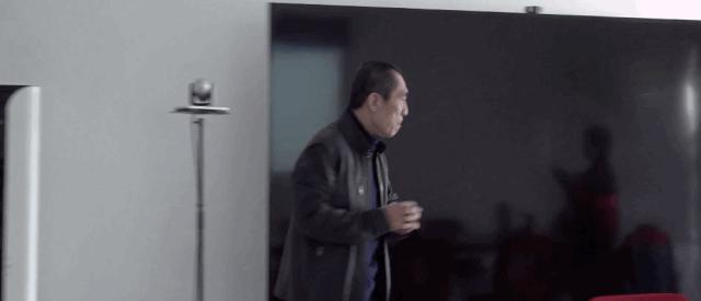 张艺谋受争议的闭幕式,张艺谋被罚案例