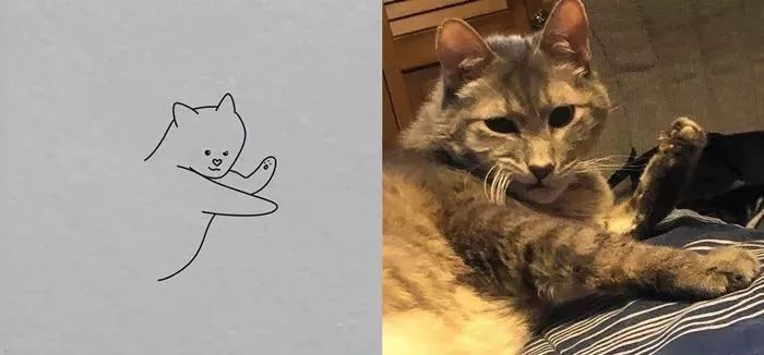 你和大触绘画的区别：一看就会一画就废，这波动物简笔画太形象了