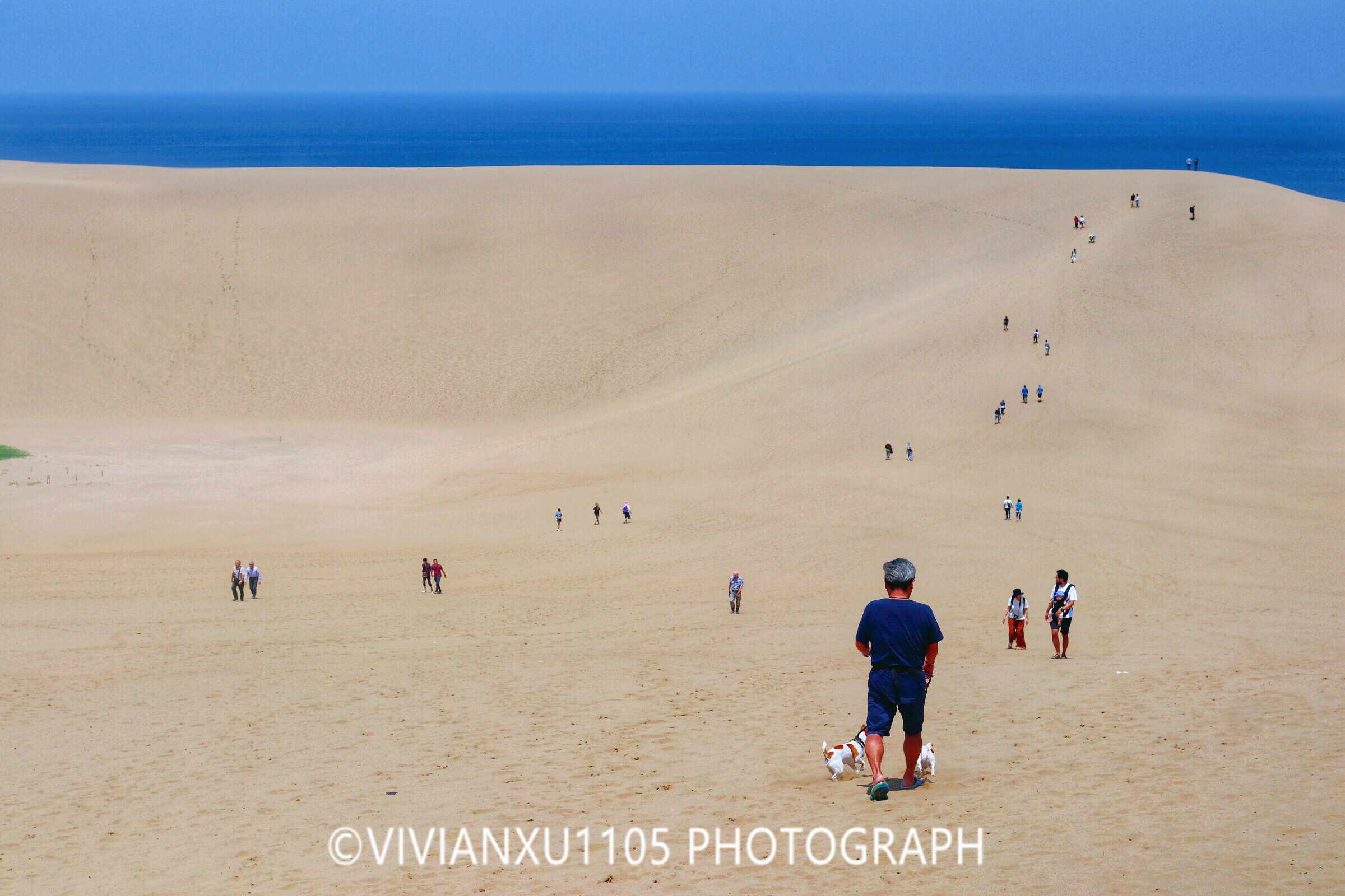 冈山和岛根,发现不一样的风景