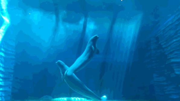 三亚的顶级酒店推荐,三亚顶级的酒店推荐