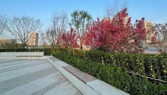 园冶杯参赛作品|天津万科翡翠大道：重塑当代街区景观