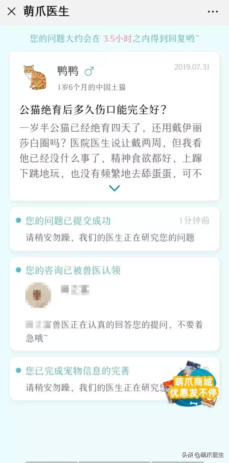足不出户就能在线治猫病,24小时猫病在线咨询