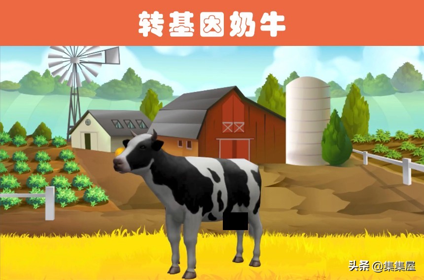 世界上有没有转基因生物,最早的转基因生物