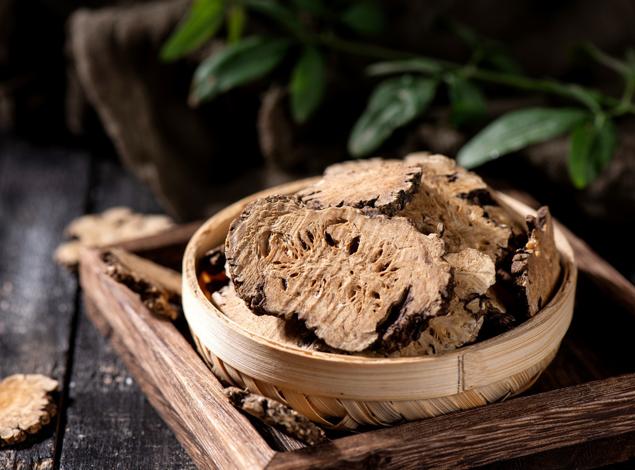 中药川芎的功效与作用,中药川芎的功效和作用