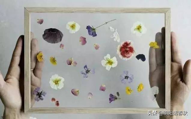 如何制作干花使其可以永久保存,如何制作干花书签