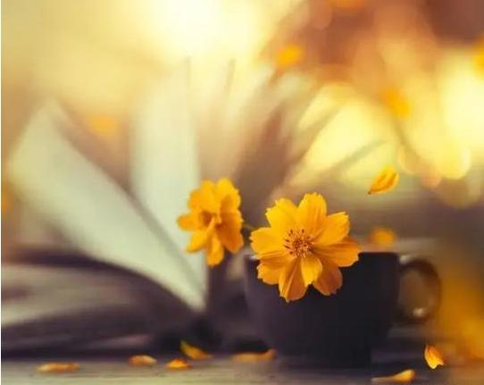 婆媳之间怎么能相处得非常融洽,家庭婆媳之间相处的技巧