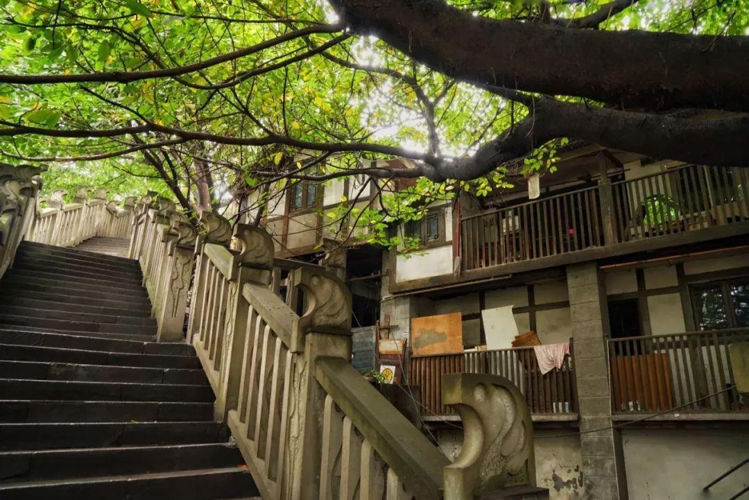 国内旅游不宰客排名,全国旅游不宰客旅游路线