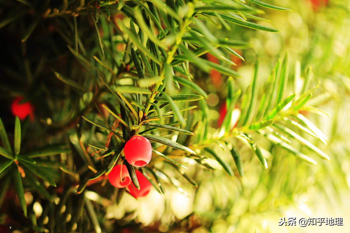 全国各地地理地势及气候,中国地理江西位置