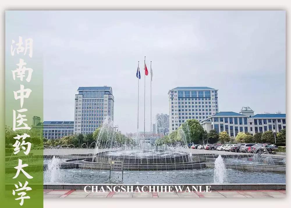 母校我想你,想你母校