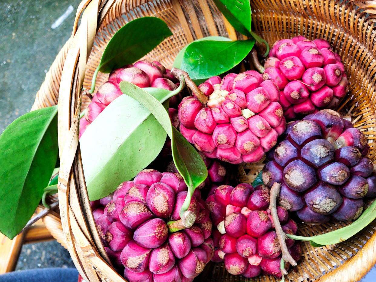 恶魔果实多少钱一瓶,恶魔果实的市价是多少