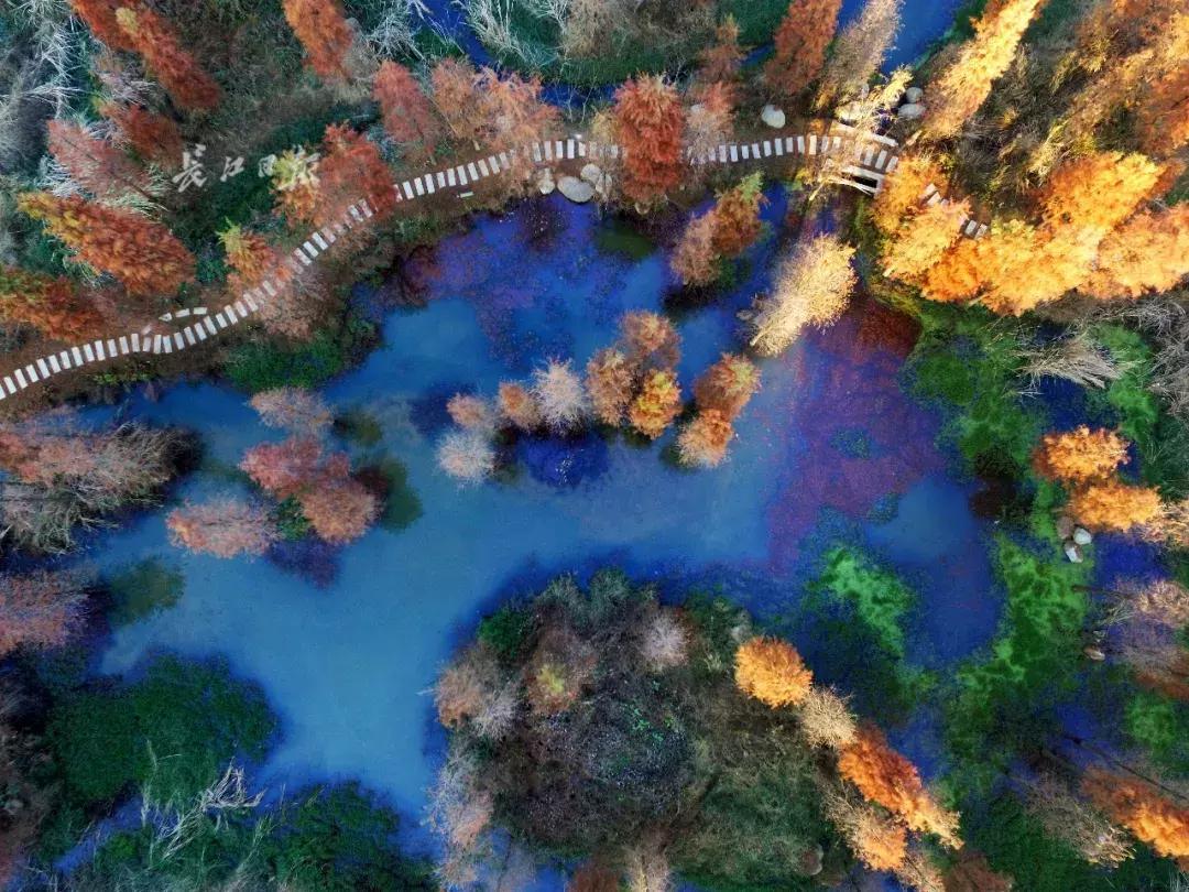 武汉最新古与潮室内网红打卡点,武汉周边新晋7大网红打卡地