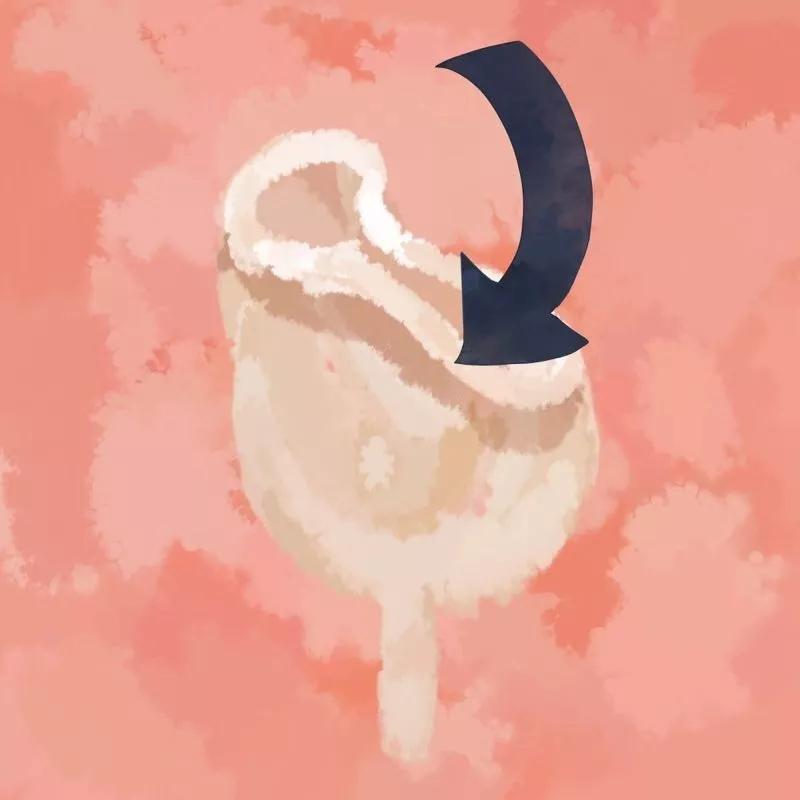 夜光杯和卫生巾哪个好,卫生巾和月亮杯利弊