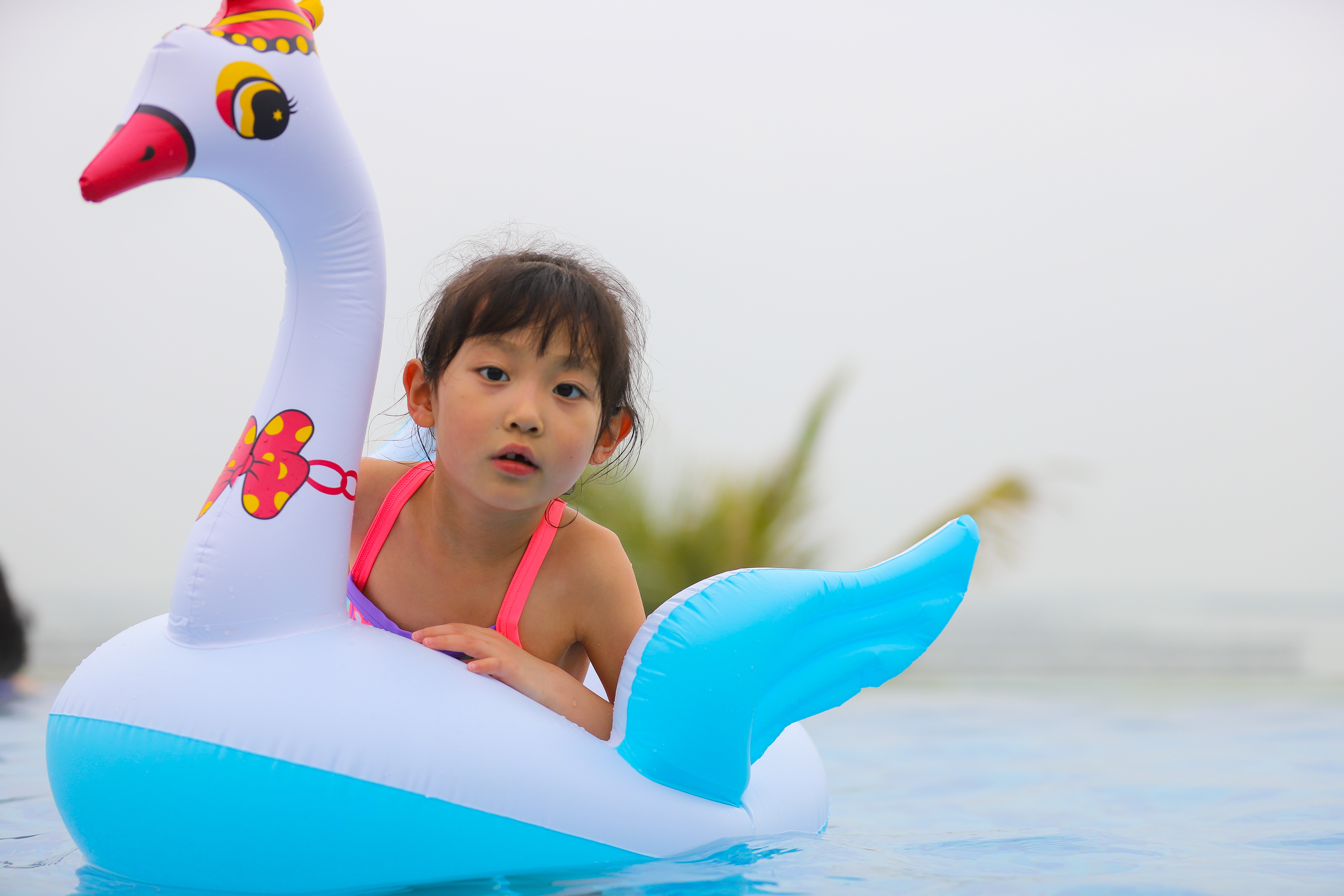 珠海海泉湾温泉公交车路线,珠海海泉湾和御温泉哪个好