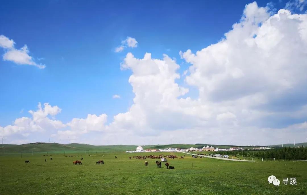 内蒙古大草原自驾游精品线路,辉腾锡勒草原黄花沟旅游攻略