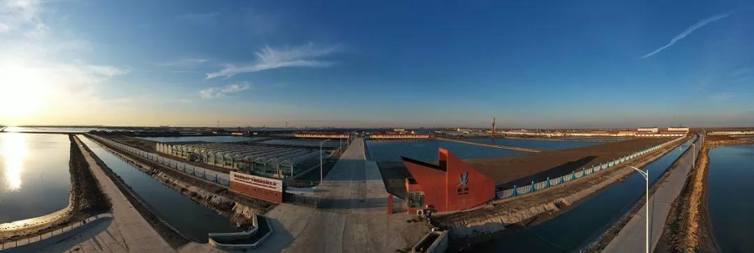 创一流业绩当好排头兵,创一流企业进展