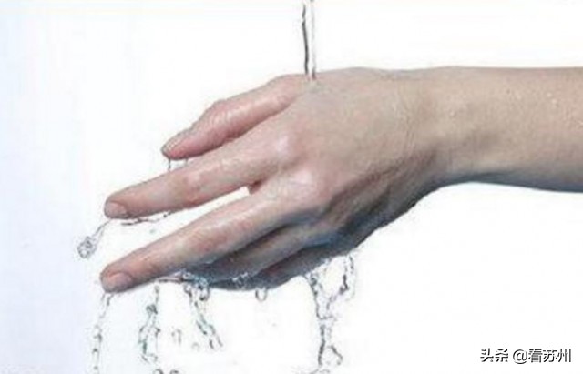 江苏男子投喂流浪狗狂犬病,喂流浪狗被咬狂犬病