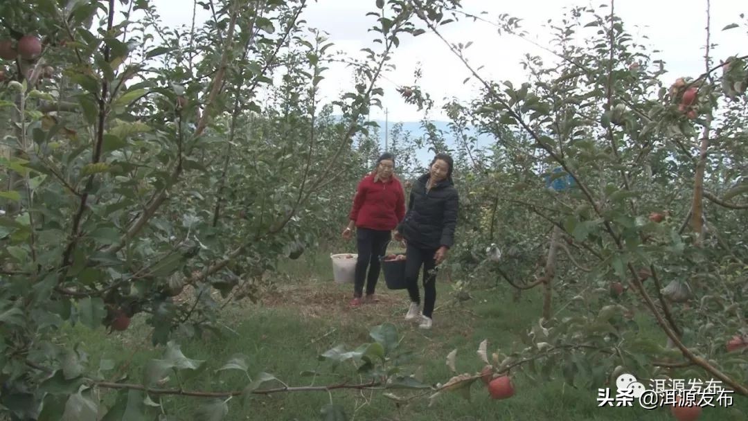 农特产品电商市场情况,农特产品电商运营