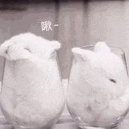 搞笑gif开心一刻原来高手在民间,搞笑gif开心一刻我受了太多的委屈