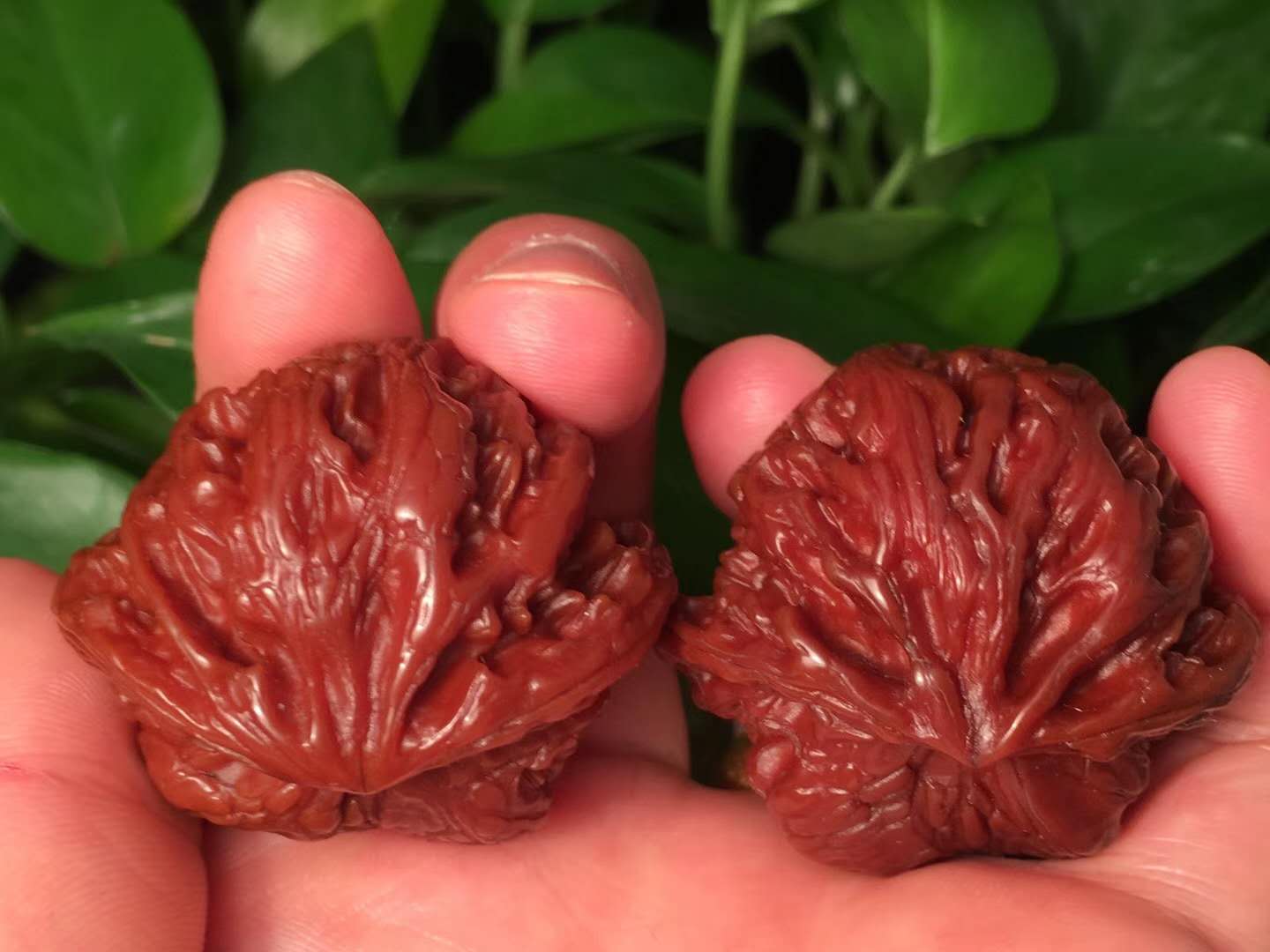 文玩核桃正确盘玩和保养方法,新入手文玩核桃需要入水吗