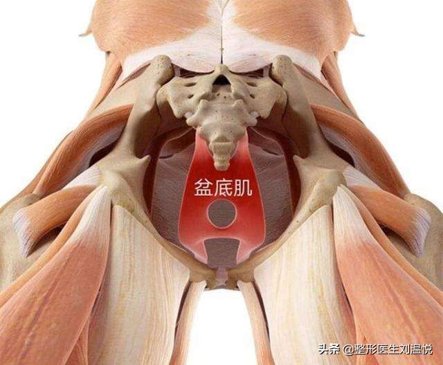 怎样跟青春期的女儿谈性教育,妈妈想给孩子最好的教育