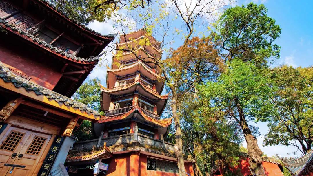 邛海湿地公园旅游攻略路线,西昌邛海住民宿攻略