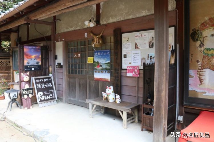 20岁少年建“猫猫寺”，和尚住持全是猫咪，网友：不敢撸不敢吸