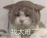 *疆新**到底为什么这么大大大大大？