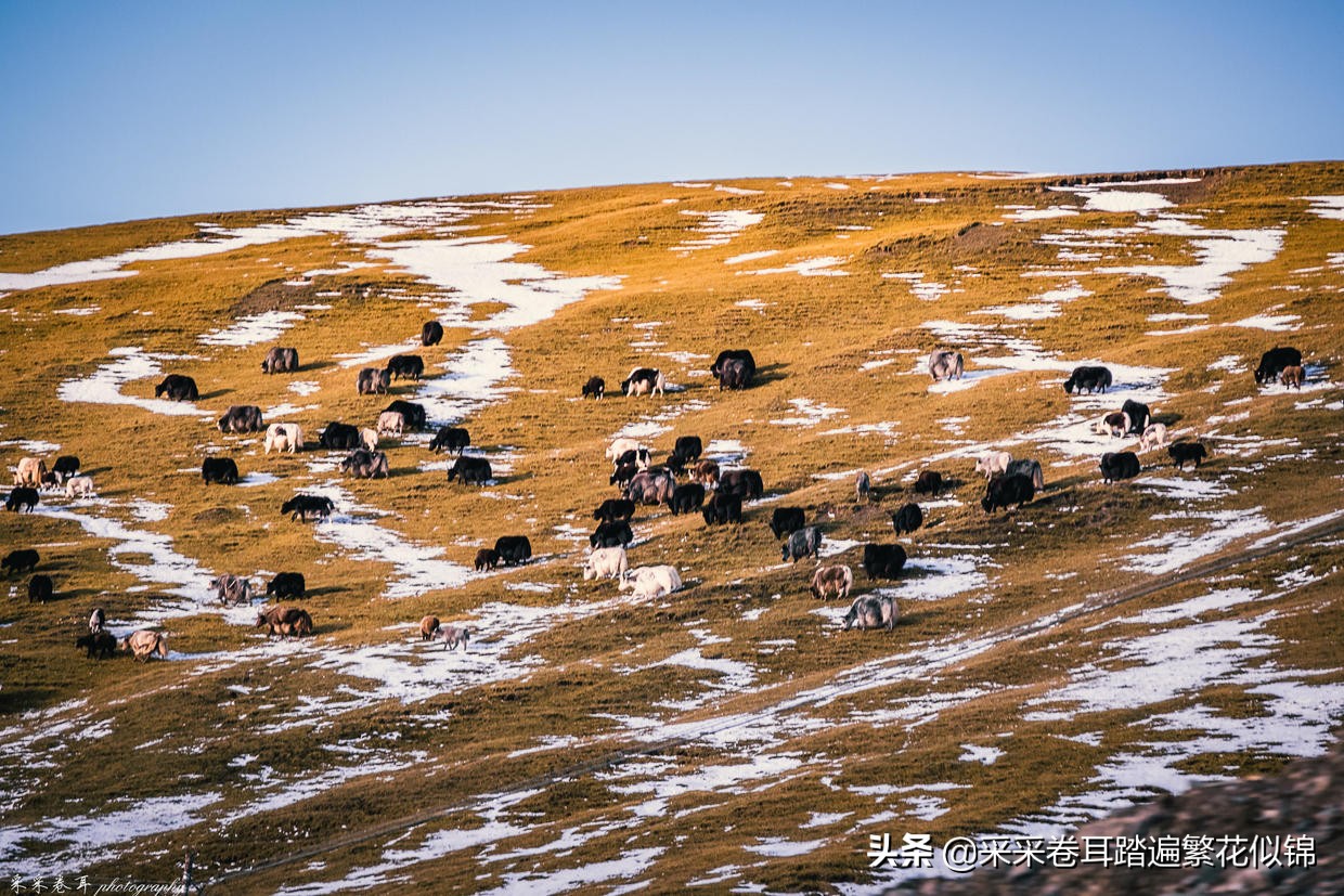 独库公路开放后游玩攻略,独库公路开放前旅游攻略