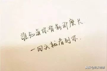 独家揭秘20年卖了两百多万只鸡的老板,到底有什么特异功能!