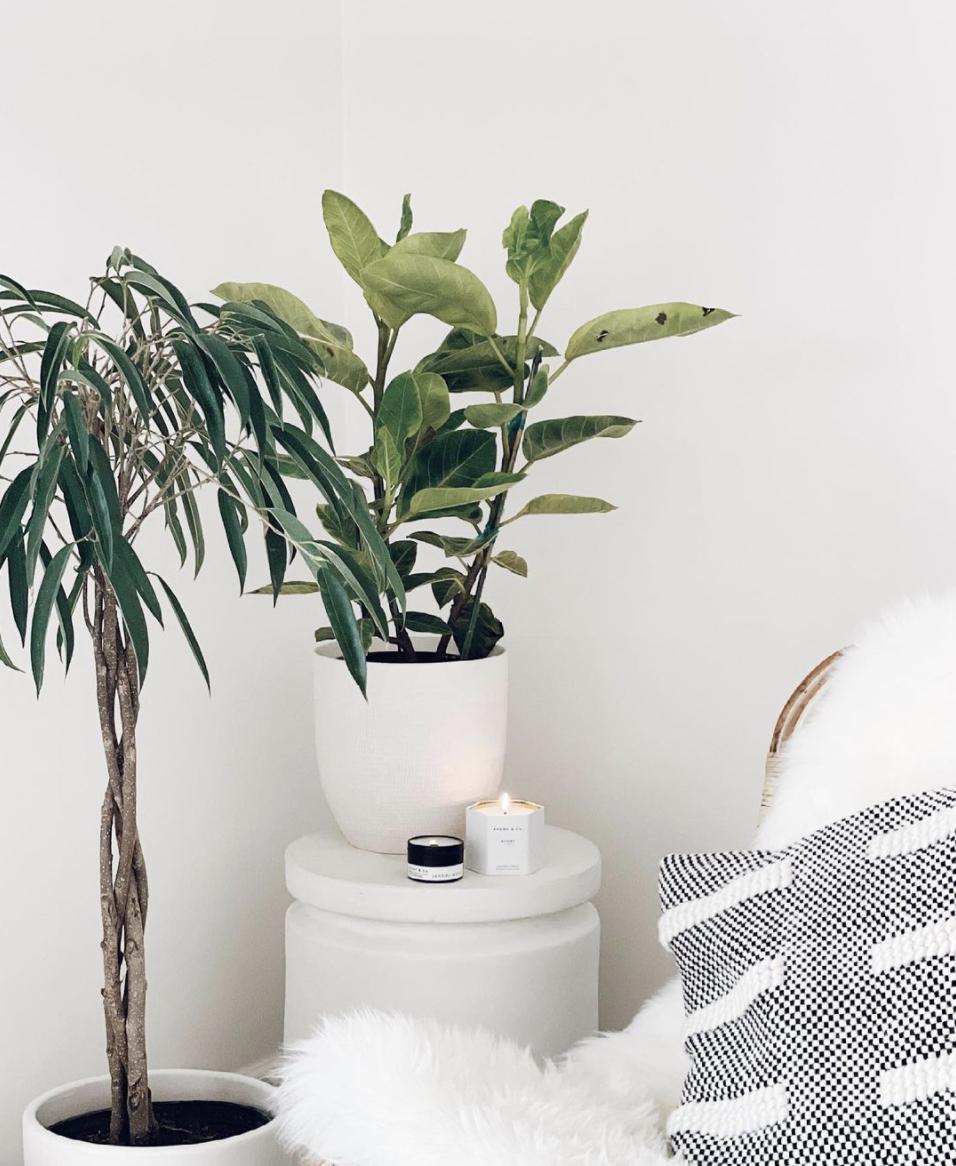 6款小*香众**氛蜡烛陪伴走过秋冬