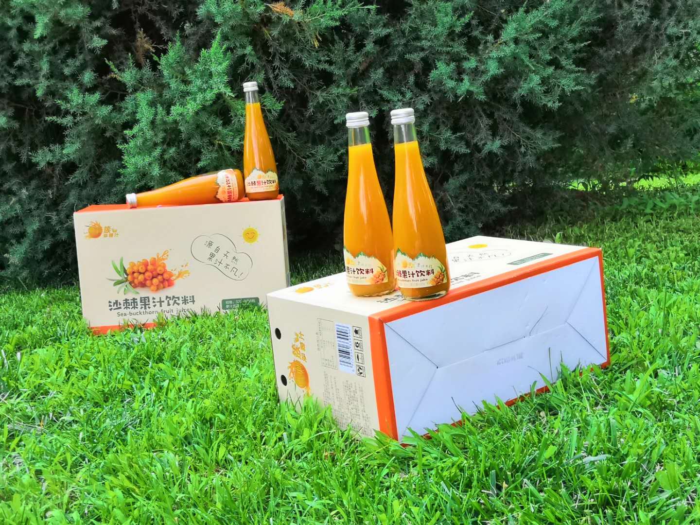 女性气色不好脸色发黄,脸色发黄怎么补气血