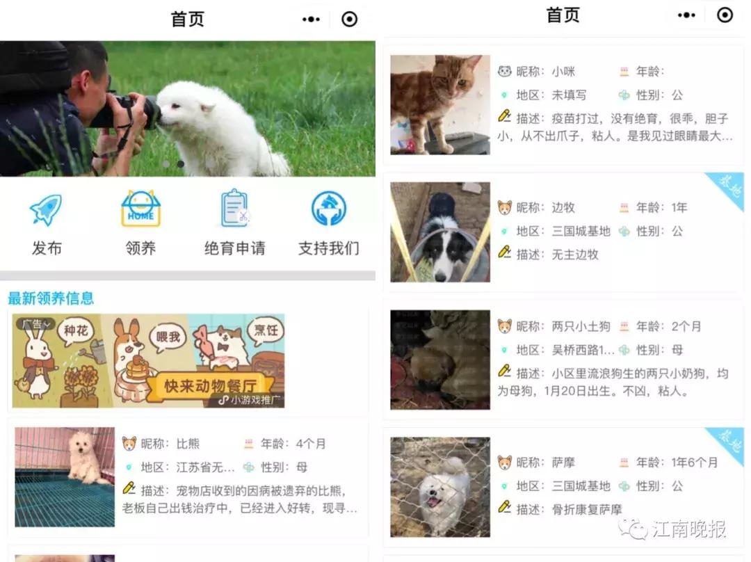 微笑天使正能量,微笑天使蕾蕾