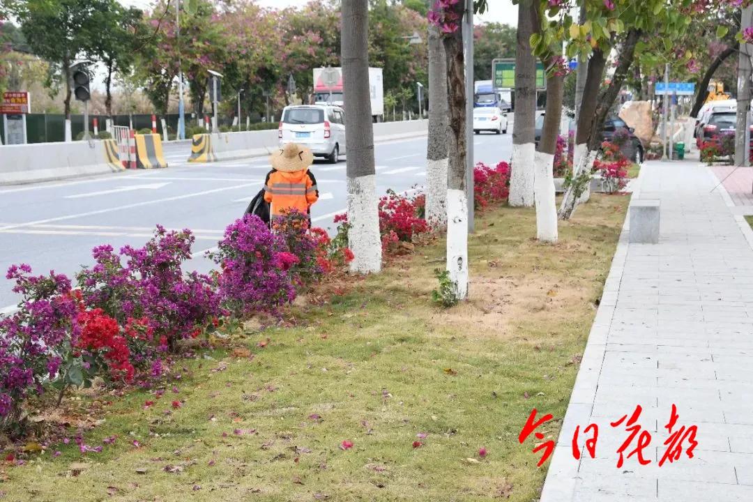 村居人居环境综合整治,清理村居垃圾美化村居环境