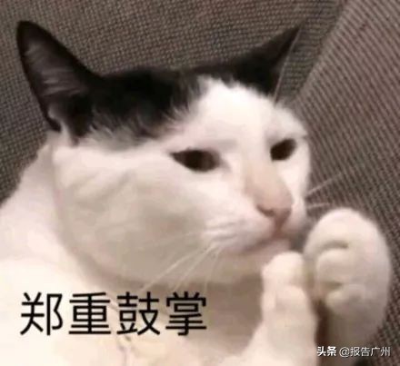 珠江啤酒失败广告,九十年代珠江啤酒广告