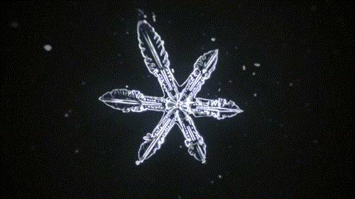 邯郸雪下哪里了,雪如约而至周末天气怎么样