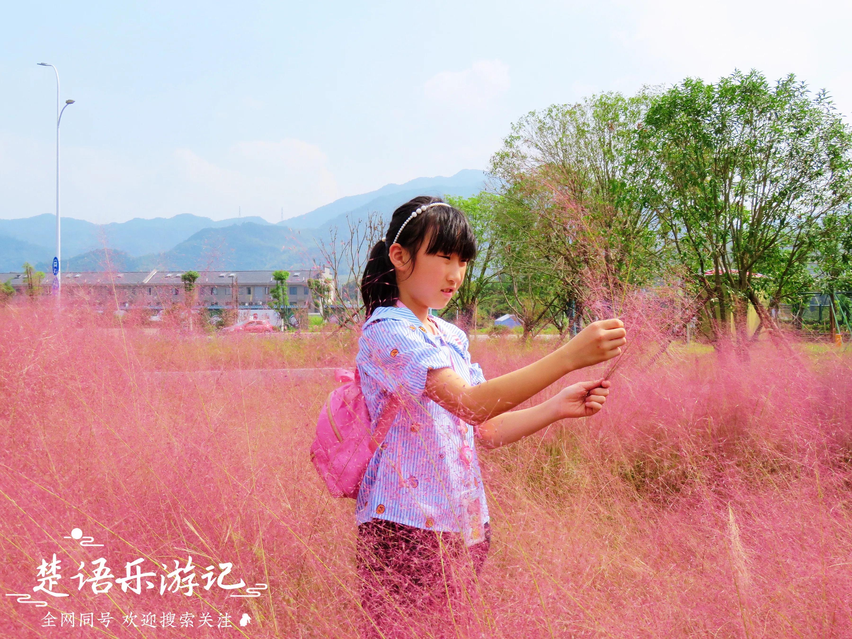 宁波四明山最美古村,宁波又一古镇走红景色不输姑苏