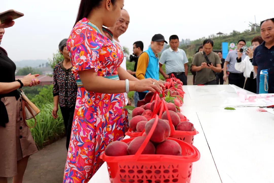 果肉血红的是什么桃子,果肉是红色的脆桃