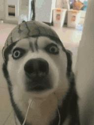 上厕所没有厕纸只能用绳子,上厕所没有卫生纸能用吗