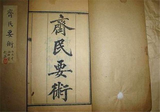 莲君子,莲如何养才能开花