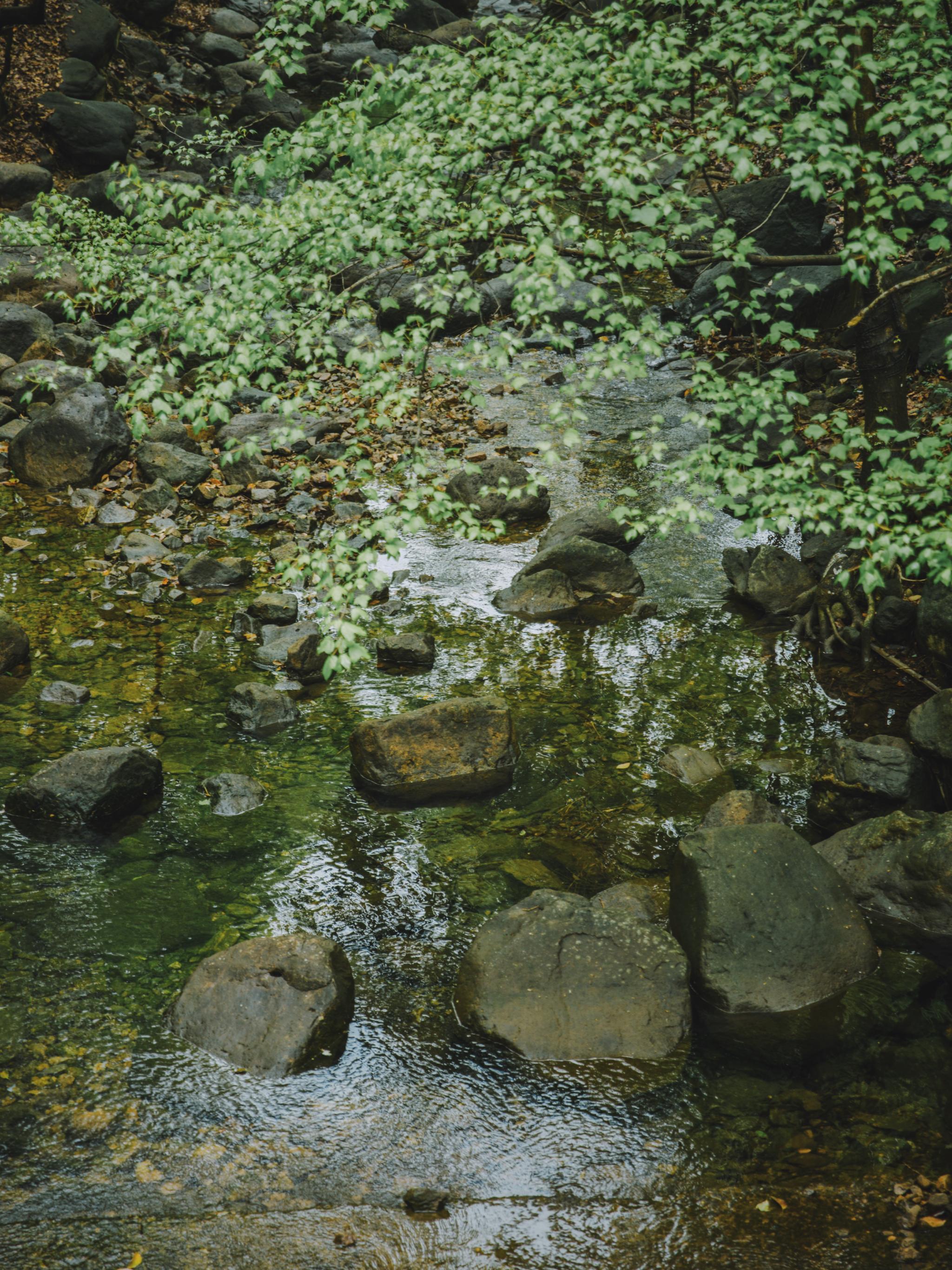江浙沪藏在桐庐的绿野仙踪,浙江桐庐秘境山水