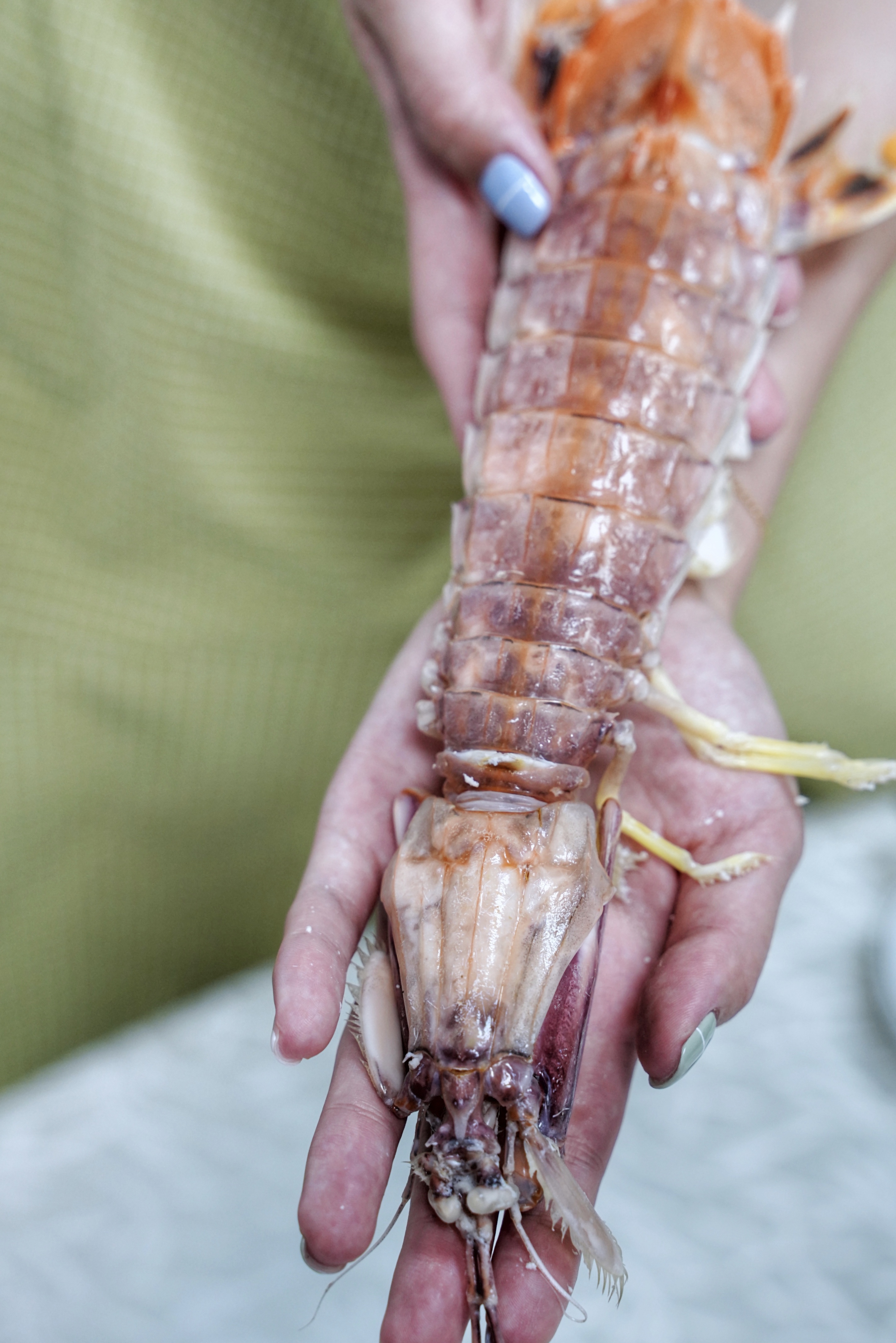 本地人都知道的海鲜大排档,都说来过还想再来