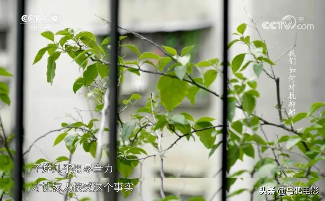 每30秒就有一个人自杀，求求别再叫她们想开点了