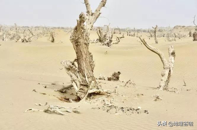 南疆映像,南疆印象系列简介