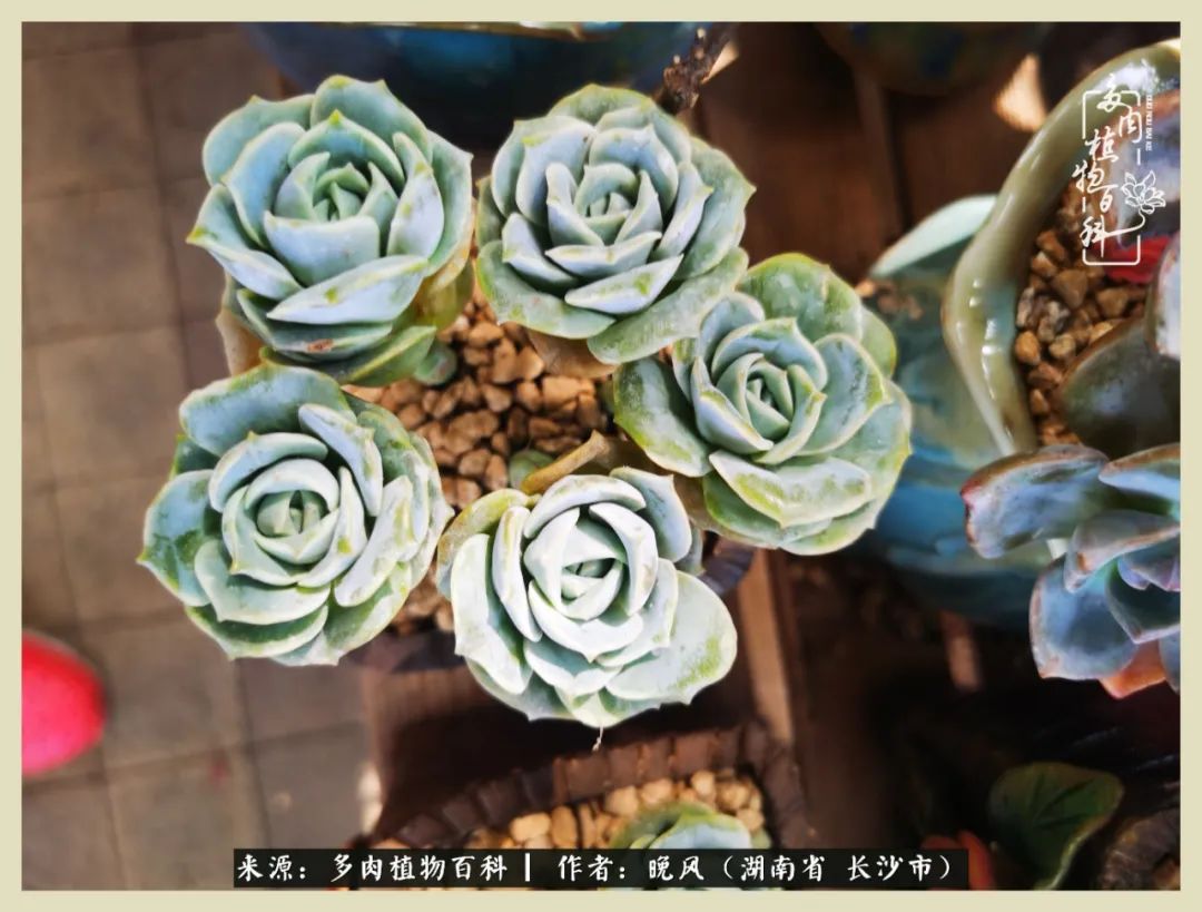 摇身一变成了奶爸,摇身一变成为打工人