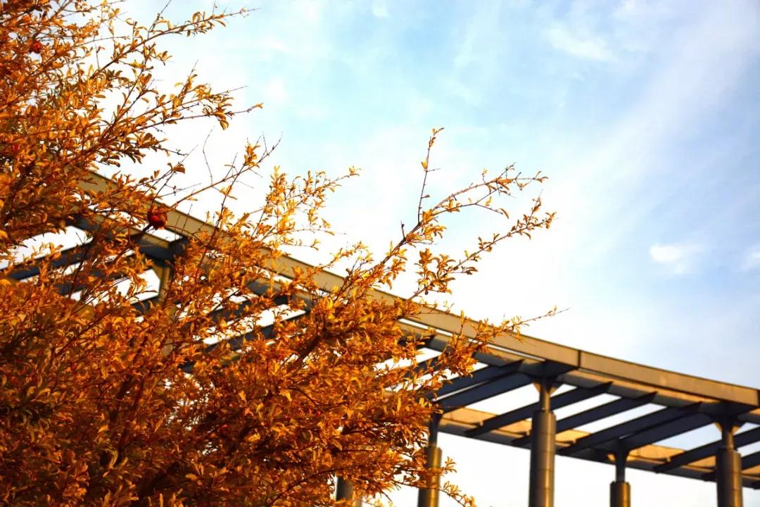 天津市普通高等院校（三）天津师范大学